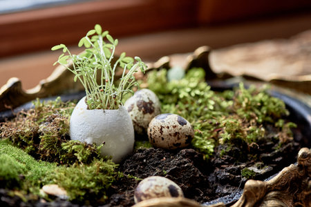 A terrestrial plant is emerging from an egg shell, turning into a grass or wood twig. This...