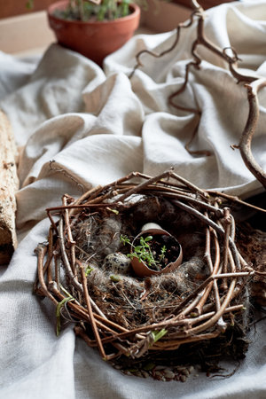 A bird nest made of twigs, grass, and natural materials, with a broken egg inside. The nest is built...