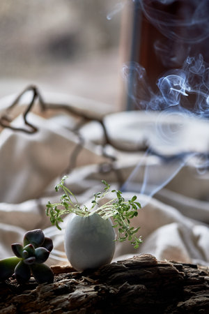 A bird nest made of twigs, grass, and natural materials, with a broken egg inside. The nest is built...