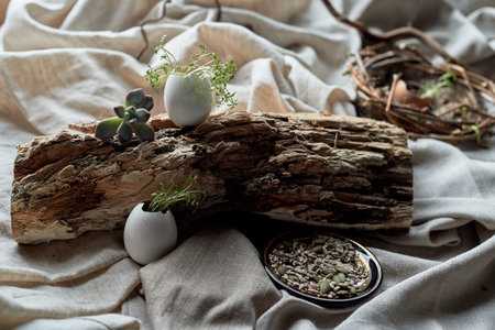 A bird nest made of twigs, grass, and natural materials, with a broken egg inside. The nest is built...