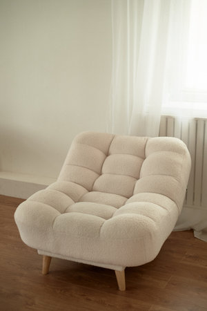 modern interior with comfortable armchair and plant on white background.