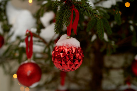 A red ball on a Christmas tree covered with snow. Winter holidays and vacationsの写真素材