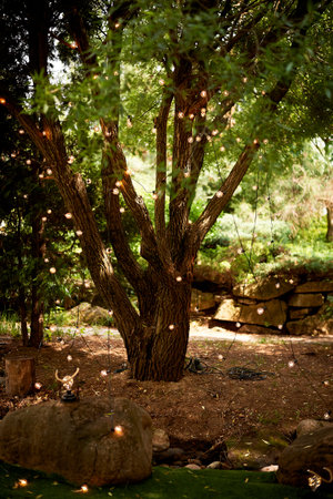 Wedding decoration in the Slavic style. A tree in the forest, illuminated by lanterns and a garland. Fairytale forestの写真素材