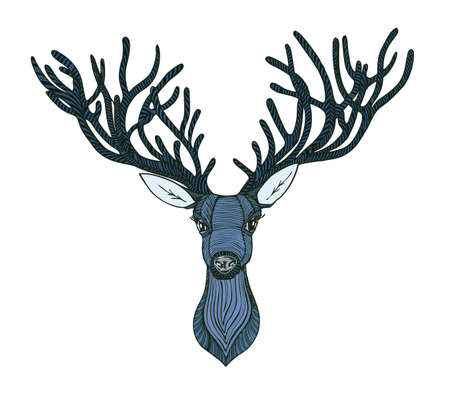 deer head. Beautiful horns. speaking lookの写真素材