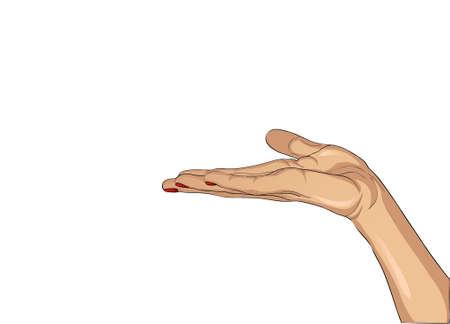 Gesture open palm. Hand gives or receives. Vector illustration on white background. Empty space for advertisingのイラスト素材