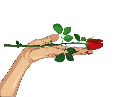 Flower red rose in his hand. Hand hands it to you. Present day Valenitina or Birthday. Greeting card with empty space for your text o radvertising. Vector illustration isolated on white background