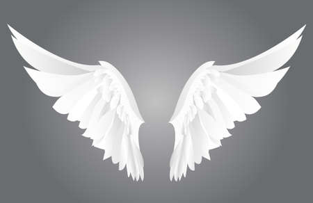 Wings. Vector illustration on grey background.のイラスト素材