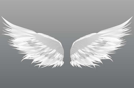 White Wings. Vector illustration on grey background.のイラスト素材