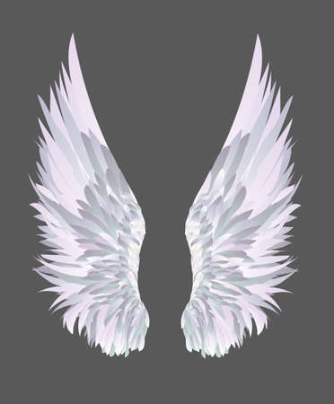 Wings. Vector illustration on grey background.