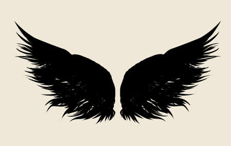 Wings. Vector illustration on white background. Black and white style
