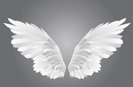 Wings Vector illustration on white background Black and white styleのイラスト素材