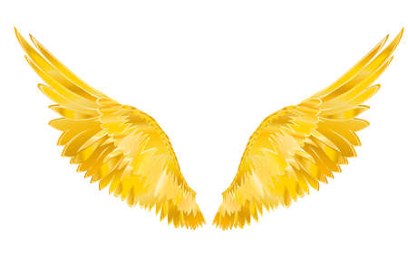 Wings. Vector illustration on white background. Golden metalのイラスト素材