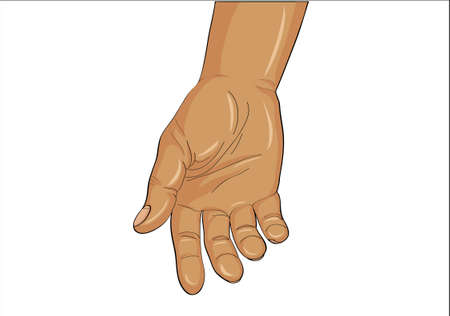 Gesture open palm. Hand gives or receives. Vector illustration on white background. Empty space for advertisingのイラスト素材