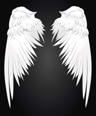 Wings. Vector illustration on white background. Black and white styleのイラスト素材