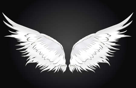 Wings. Vector illustration on white background. Black and white styleのイラスト素材