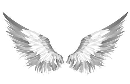 Gray wings illustration.のイラスト素材