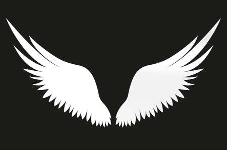 White Wings vector illustration on black background.のイラスト素材