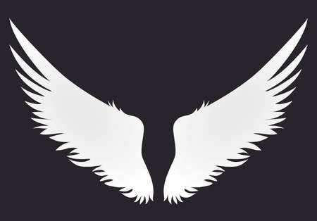 Wings. Vector illustration on white background. Black and white styleのイラスト素材