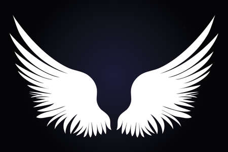 White Wings. Vector illustration on dark background. Black and white style.のイラスト素材
