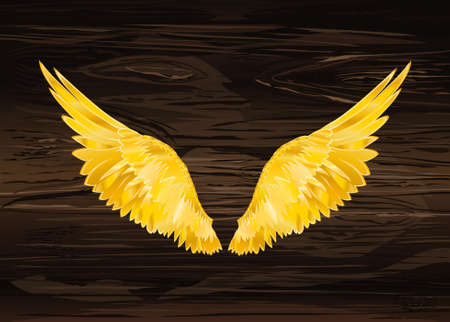 Wings. Vector illustration on wooden background. Golden color.