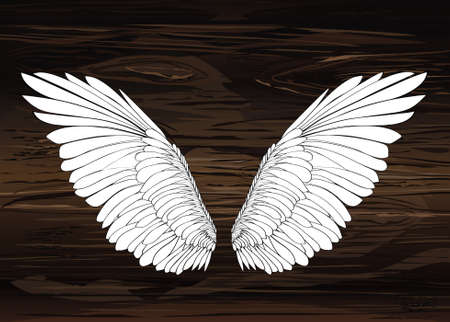 Wings. Vector illustration on wooden background. Black and white style.のイラスト素材