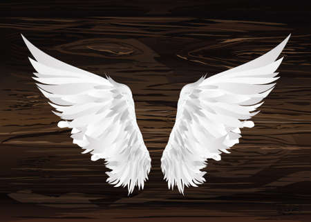 Wings. Vector illustration on wooden background. Black and white style.のイラスト素材