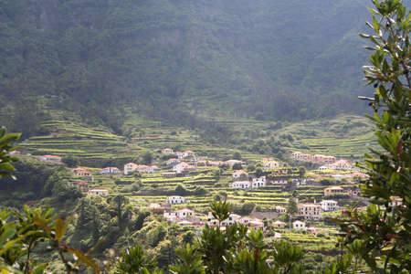 Madeira is famous for its terraces. の写真素材