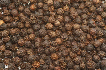 dried black peppercornsの写真素材