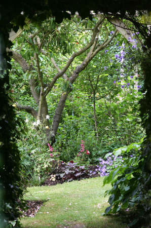 shady path leading into a secret garden full of flowers and a almond treeの写真素材