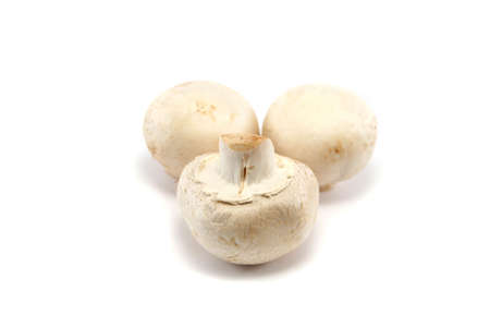 Three white button mushrooms, focus on front oneの写真素材