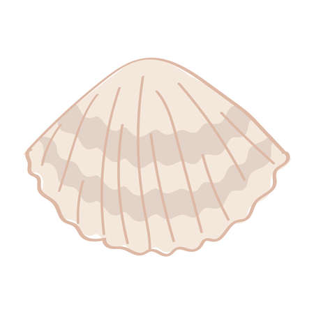 Cute cartoon style mollusk conch. Isolated on white.のイラスト素材