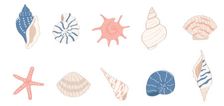 A set of colorful cartoon style sea shellsのイラスト素材