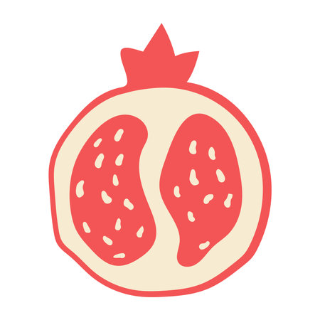 Cute doodle half sliced pomegranate.のイラスト素材
