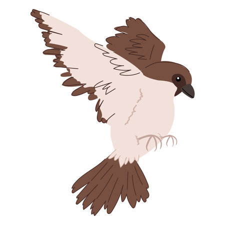 Cartoon style flying house sparrow.のイラスト素材