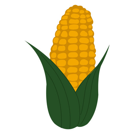Simple cartoon style yellow corn. Golden maize harvest concept.のイラスト素材