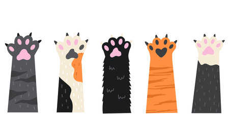 A cute cartoon style cat paws illustration. A set of different colors domestic animal feet.のイラスト素材