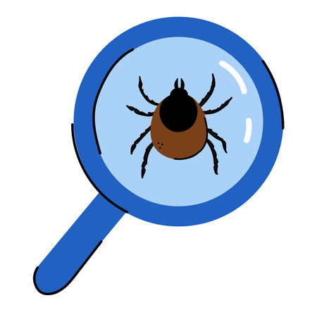 Cartoon style mite in a magnifying glass.のイラスト素材