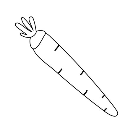 A simple coloring page with a carrot. Black and white vegetable icon.のイラスト素材