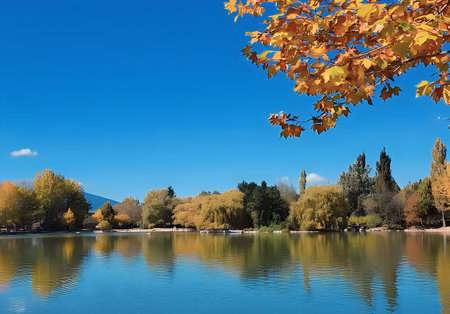 Autumn landscape with lake, trees and blue sky in the parkの写真素材