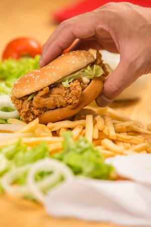 Chicken sandwichの写真素材