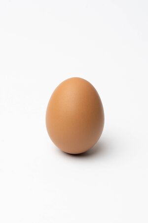 egg on white background