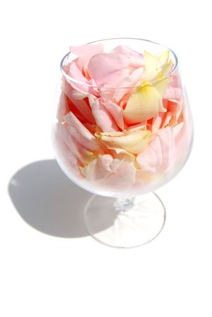 gentile rose petal lies much in gobletの写真素材