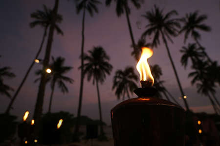 Oil lanterns on the beach en background of palm trees and the night skyの写真素材