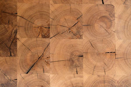 Abstract background Texture of a natural expensive tree in design. a cut of a tree, a table square of an annual ring.の写真素材
