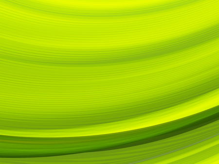 Vector striped lines. EPS10 with transparency. Abstract composition with curve lines. Striped lines for ecology theme background. Abstract leaf, macro.のイラスト素材