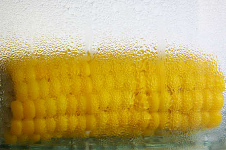 The photograph shows vegetables, which are prepared in steamer.の写真素材