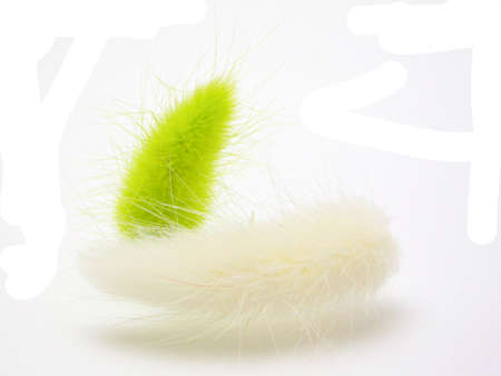 Green and white ears. Ornaments bouquet of flowers. Isolated on a white background.の写真素材