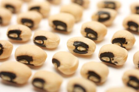 Seeds of black eye beans posted several neat rows. Isolated on white background.の写真素材
