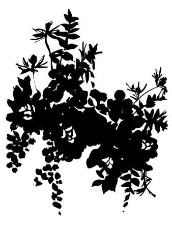 Flowers bouquet isolated on white. Silhouettes illustration. Black abstract flowers, roses buds and petalsのイラスト素材