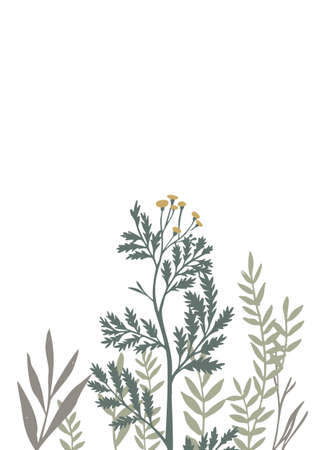 Vector botanical frame isolated on white. Floral drawing made of meadow flowers, foliage, stems, herbs and leaves. Nature illustration for postcard, card, invitation, greeting, placing text or phrase.のイラスト素材
